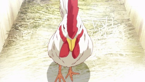 ancb01295