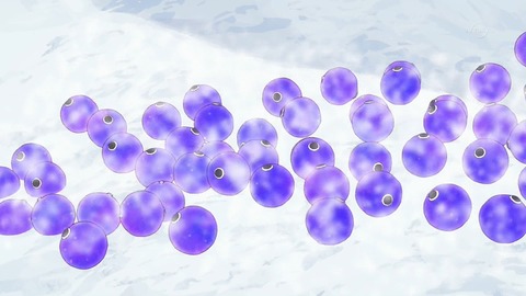 ancb03802