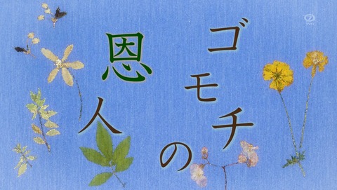 ANCB000250