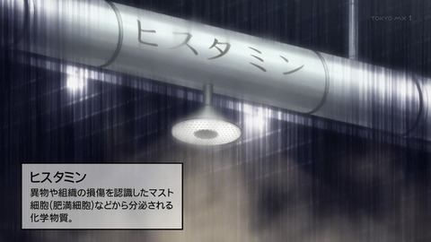 ancb01129