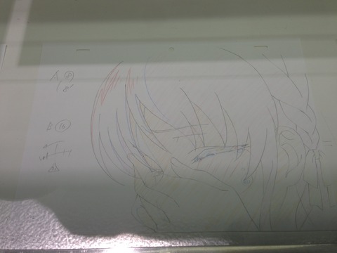 D (13)