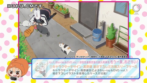 ANCB000224
