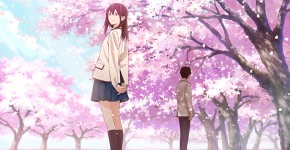 映画　君の膵臓をたべたい　感想