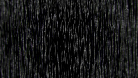 ancb002802