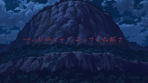 アカメが斬る 11話 感想 468