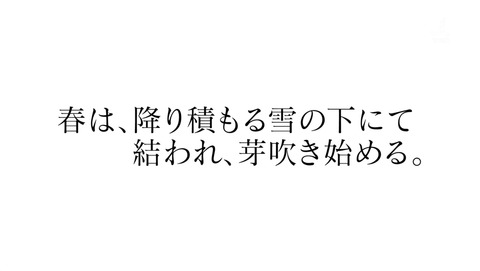 ancb03768