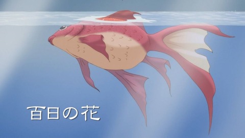 ancb00256