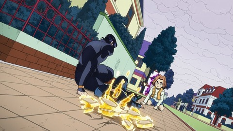 ANCB002529