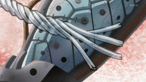 ANCB001134