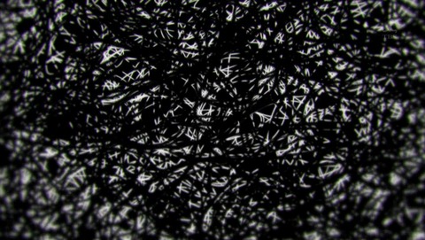 ancb001514