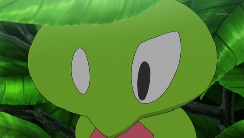 ポケモン XY&Z 10話 感想 3654