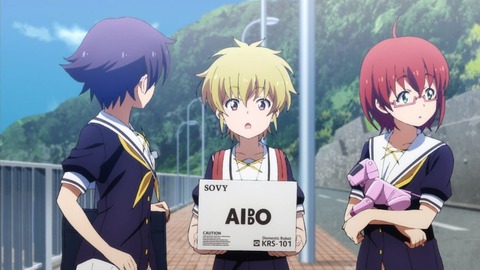 ancb03473