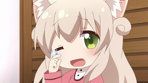 にゃんこデイズ 8話 感想 301