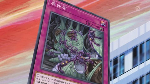 ANCB001239