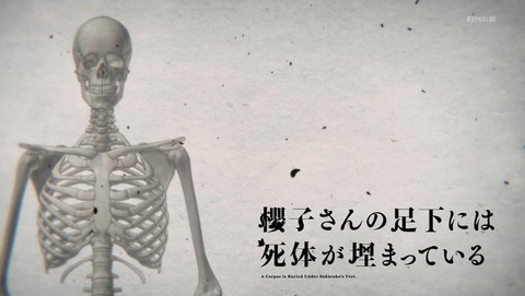 ANCB001177