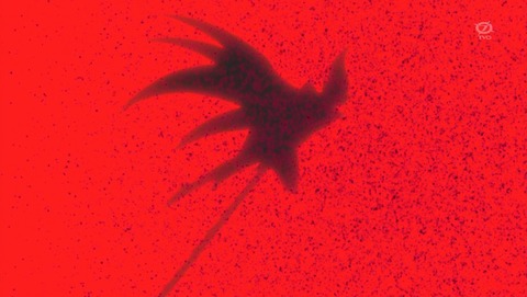 ANCB001052