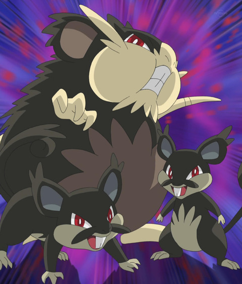 rat
