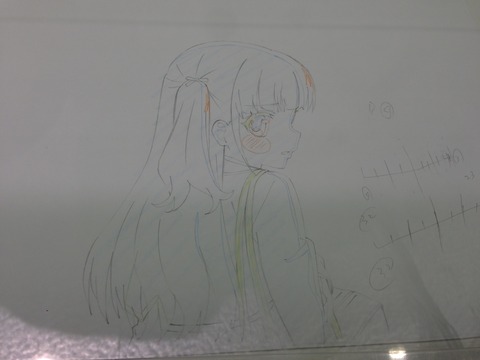 D (15)
