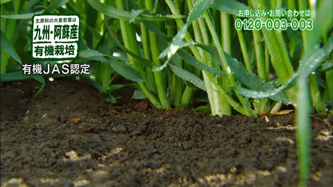 ancb00108