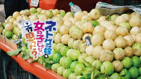 ancb02799