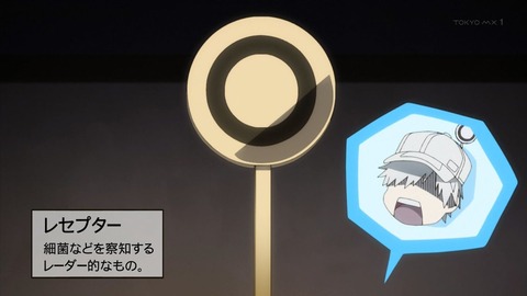 ancb00523