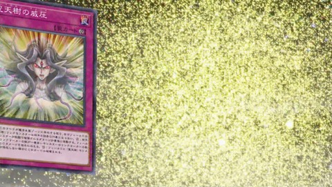 ANCB002056