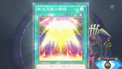 ANCB002194