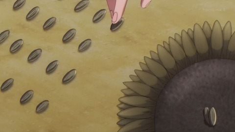 ancb00428