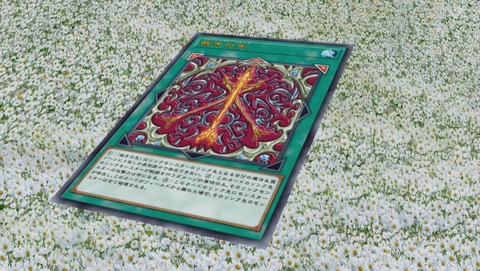ANCB001027