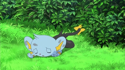 ポケモン XY 47話 感想 638