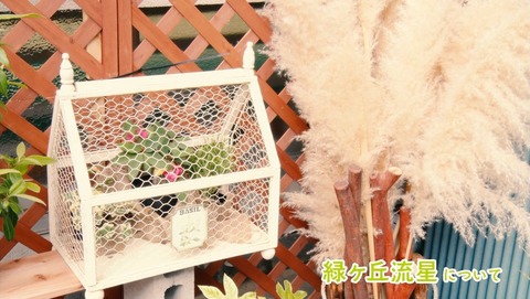 ancb001681