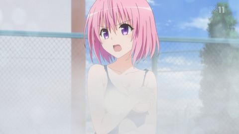 ANCB001195