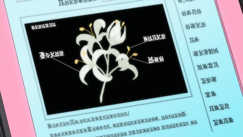 ancb02623