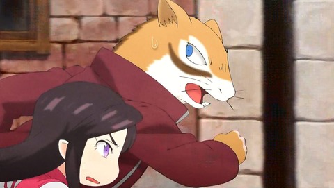 ancb00067