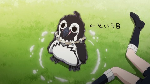 ANCB001113
