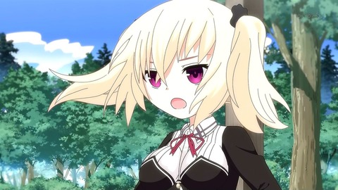 ノラと皇女と野良猫ハート 11話 感想 436