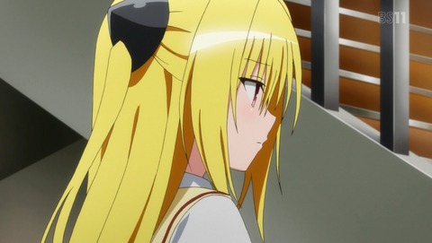 ANCB001135