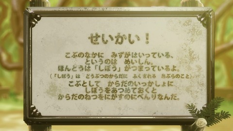 ancb01617