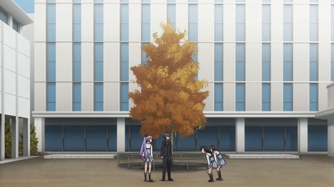 ancb02119