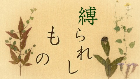 夏目友人帳 6期 5話 感想 31
