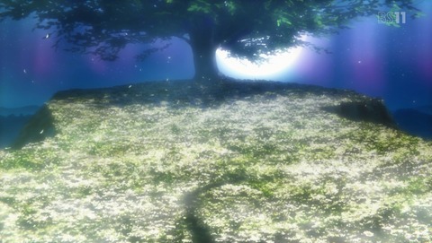 ANCB001455