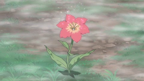 ancb03017