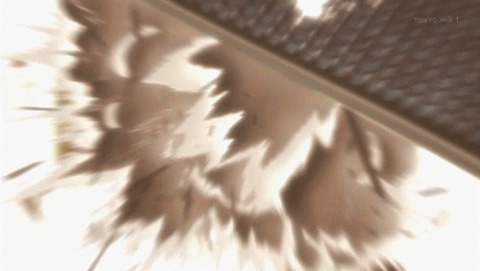ANCB001689