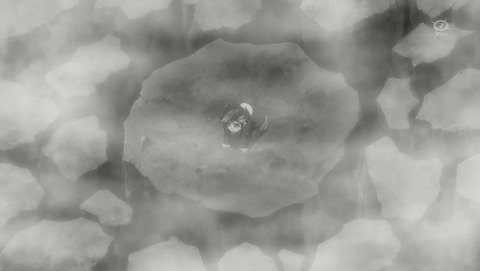 ANCB001175