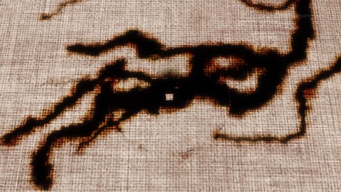 ancb01369