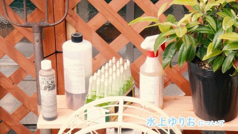 ancb001733
