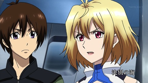クロスアンジュ 18話 感想 548