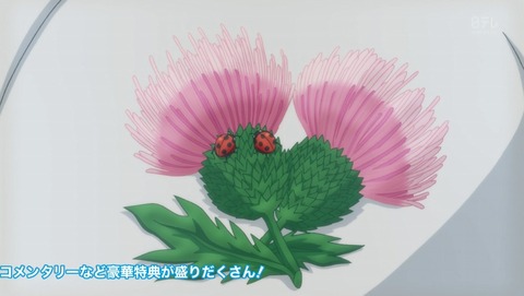 ANCB003652