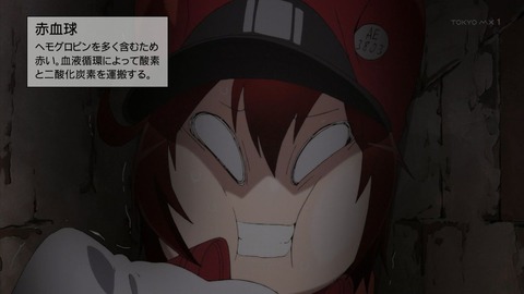 ancb00147