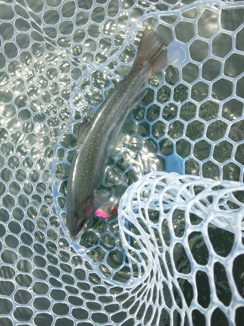 20160619184731